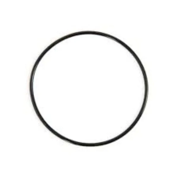 O-ring Sand Filter