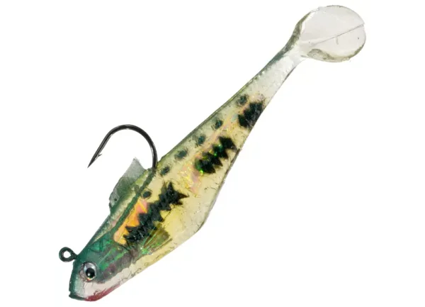Baby Bass