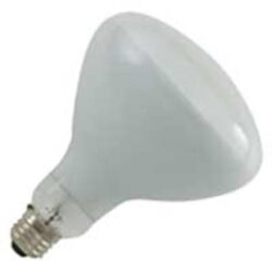 Pool Bulb 300w 12v R40