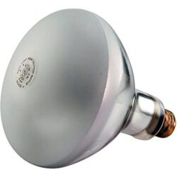 Pool Bulb 400w 120v R40 Medium Base Flood Bulb