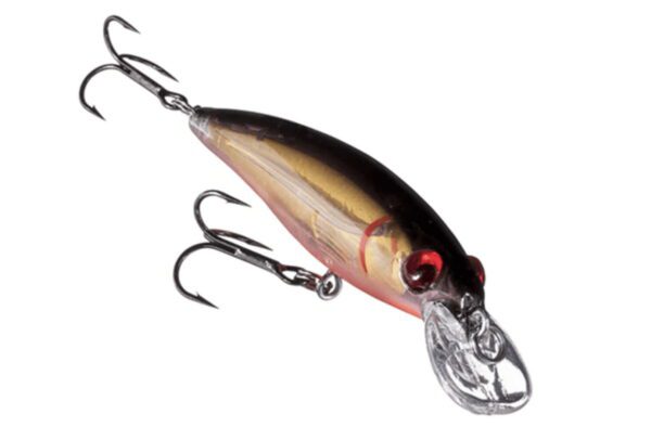 A black and gold lure with a red eye.