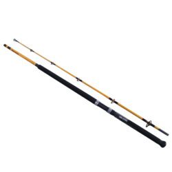 Daiwa FT Boat Saltwater Fishing spinning rod