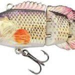 Robotic Fishing Lure